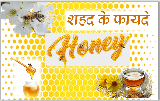 Amazing Benefits of Honey शहद के फायदे